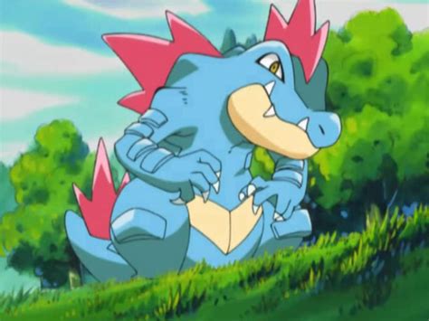 feraligatr anime.